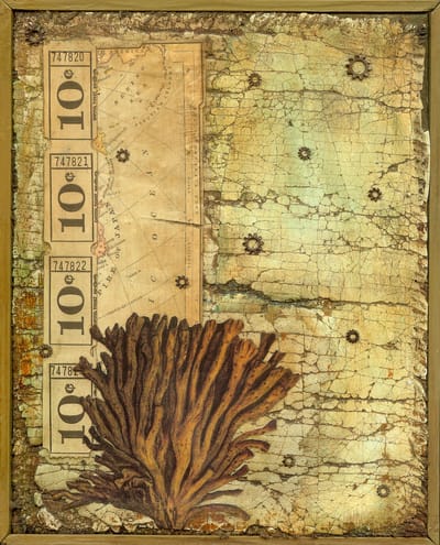 Stars from the Ocean Floor
