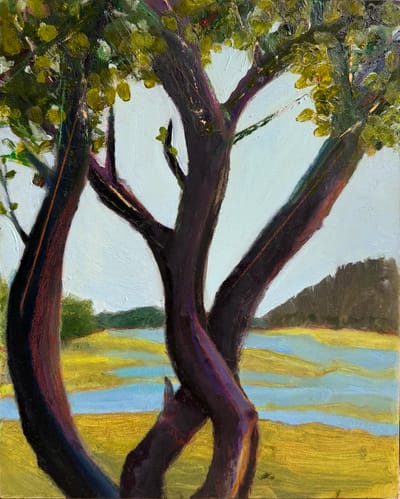 Dancing Trees