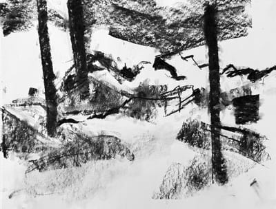 charcoal sketch 6.9